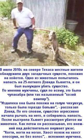 Чупакабра