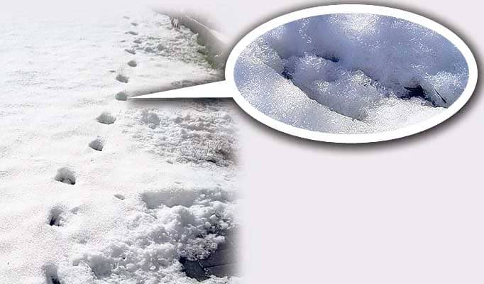 Изображение — Следы Девонширского дьявола Следы Девонширского дьявола