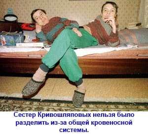 Изображение — Маша и Даша Кривошляповы из Москвы Маша и Даша Кривошляповы из Москвы